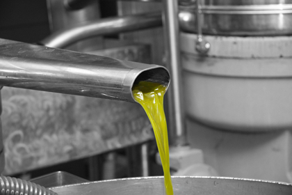 olio extravergine di oliva dono dolìvo